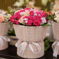 Blush Garden Rose Pot