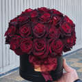 Crimson Velvet Rose Box – 25 Red Roses